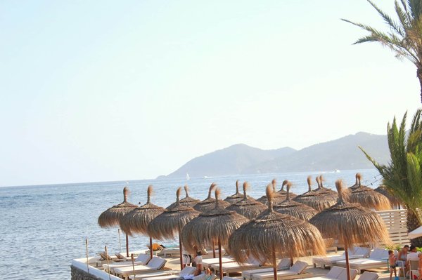 Les clubs de handball les plus populaires et leurs histoires